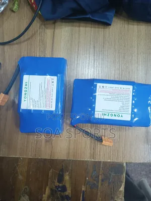Hoverboard Battery No1