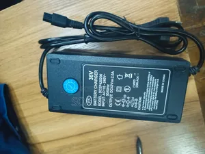 Hoverboard Charger