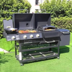 Gas Charcoal Barbecue Grill (2 in 1)