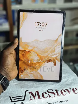 Samsung Galaxy Tab S8 256 GB Gray
