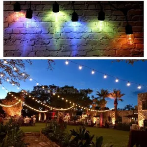 Christmas Lights Decorations With Led Bulbs and Lamp Holder