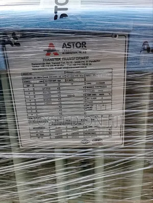 300kva/33kv Astor High Quality Transformer 100% Copper