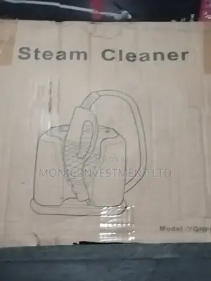Steam Cleaner
