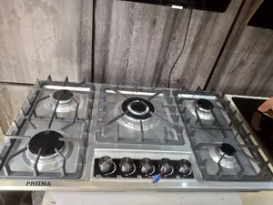 Phima 60x90cm Stainless Inbuilt Gas Cooker 100% Copper