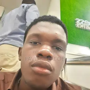 Laptop Technician/Engineer