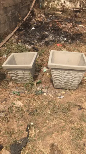 Elevate Your Home With Our Strong Concrete Pots