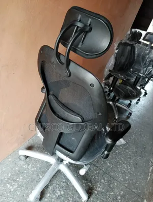 Ergonomic Chair