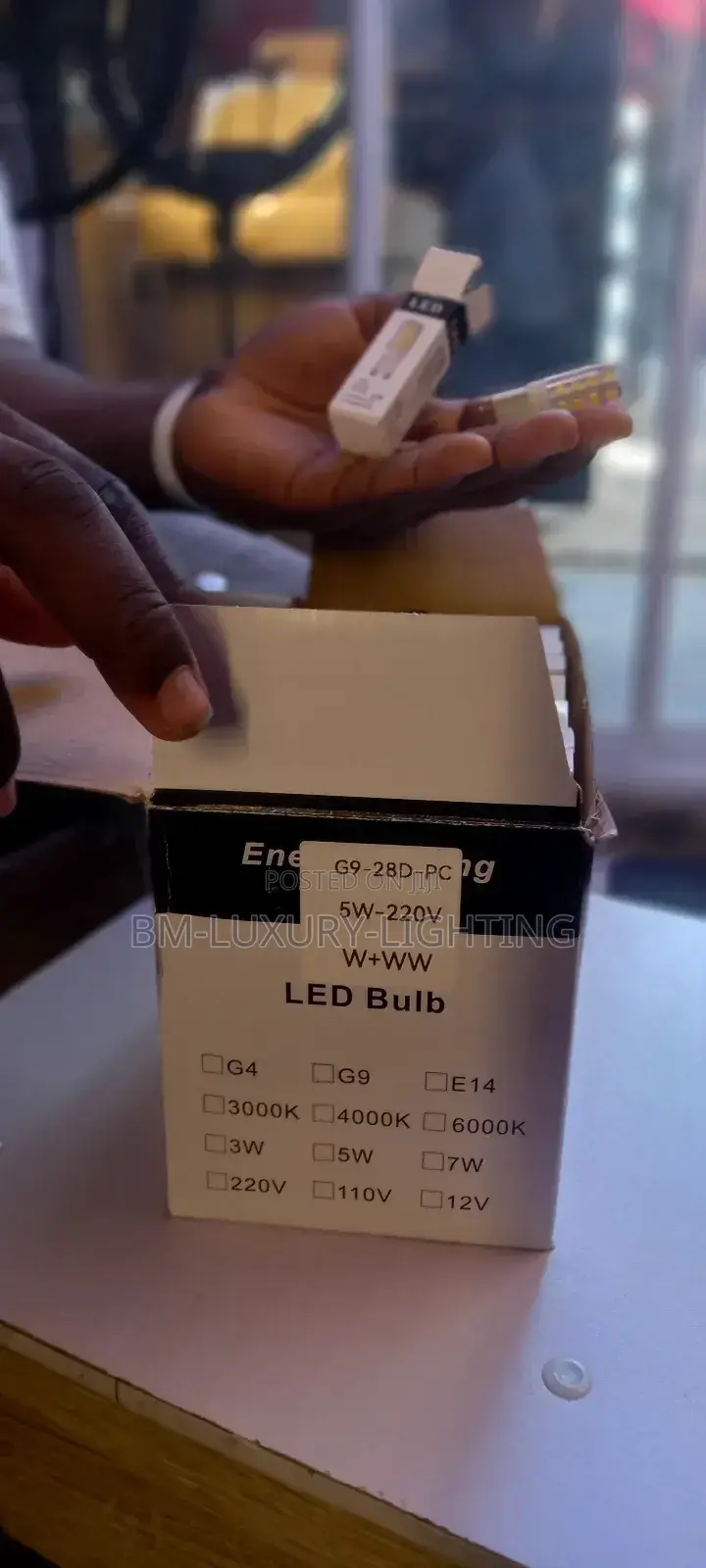 LED G9 Bulb