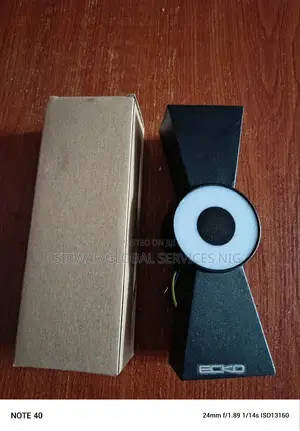Outdoor and Indoor Wall Light