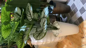 Green Flowers