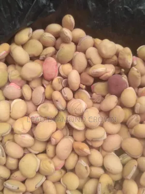 Lablab (Legumes Seeds)
