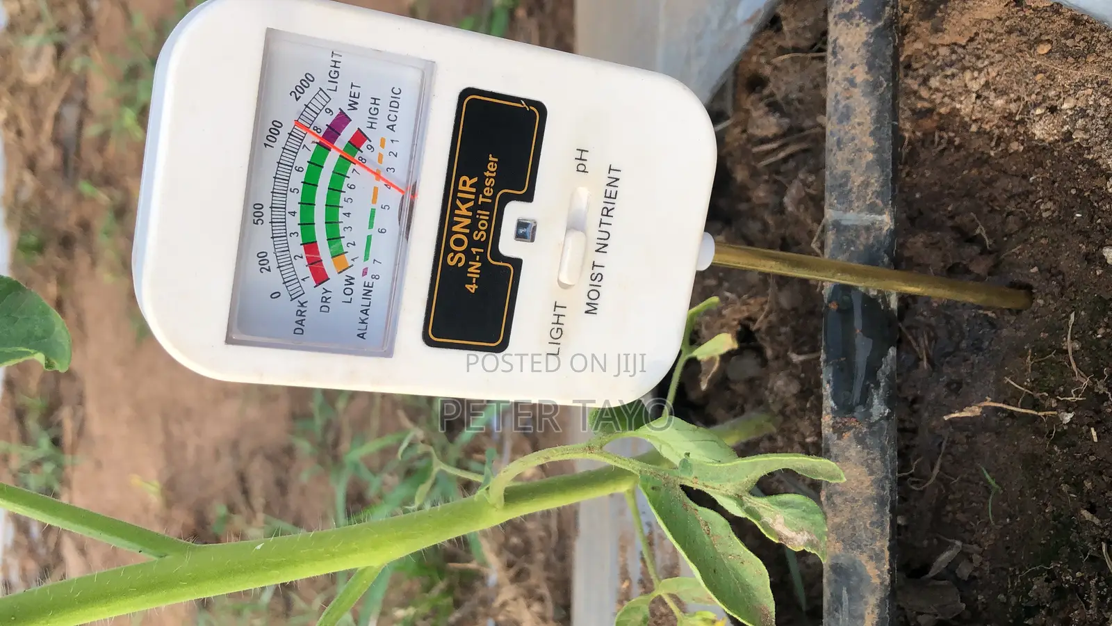 Agronomist