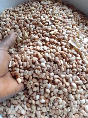 Sweet Grade 1 Big Oloyin (Honey) Beans