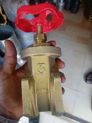 3" Brass Gate Valve(Italy)