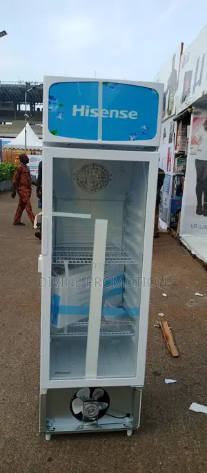 222 Liters 30FC Hisense Chiller With One Year Warranty