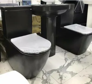 Matt Black Back To Wall Toilet Seats With Basin