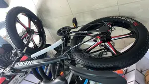 Fat Tyre Bicycle