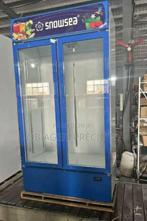 Double Door Chiller