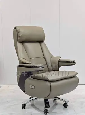 Rover Eletric Boss Executive Reclining Office Chair