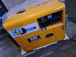 Do You Have Problem Will Light Come And Buy Cat Diesel Gen.