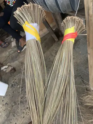 Broom for Houses