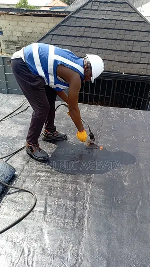 Practiced Waterproofing Experts