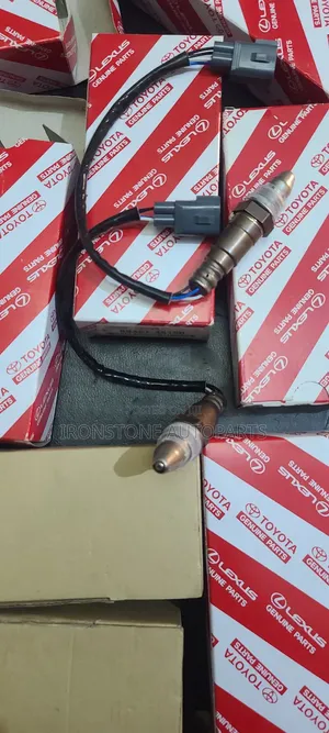 Oxygen / O2 Sensor
