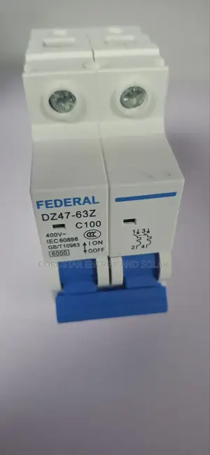 100a Federal MCB Breaker
