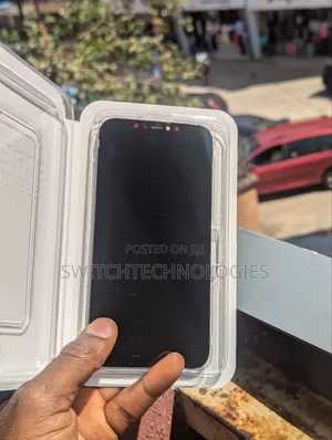 iPhone 12 Pro Max Screen