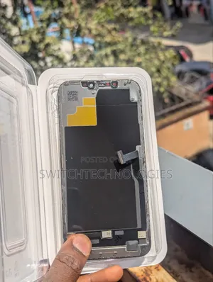 iPhone 12 Pro Max Screen
