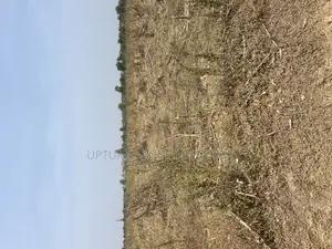 Uprooted Farmland for Sale Comes With Friendly Price