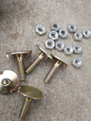 M8*30 Elivetor Bolt 2pin