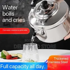 Stainless Steel Stove/Gas Top Kettle