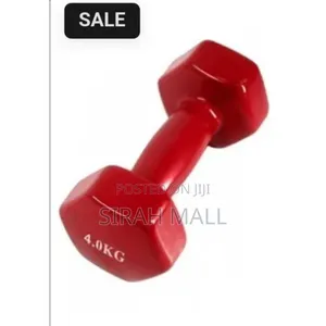4kg Dumbbells X 2 Each Hand