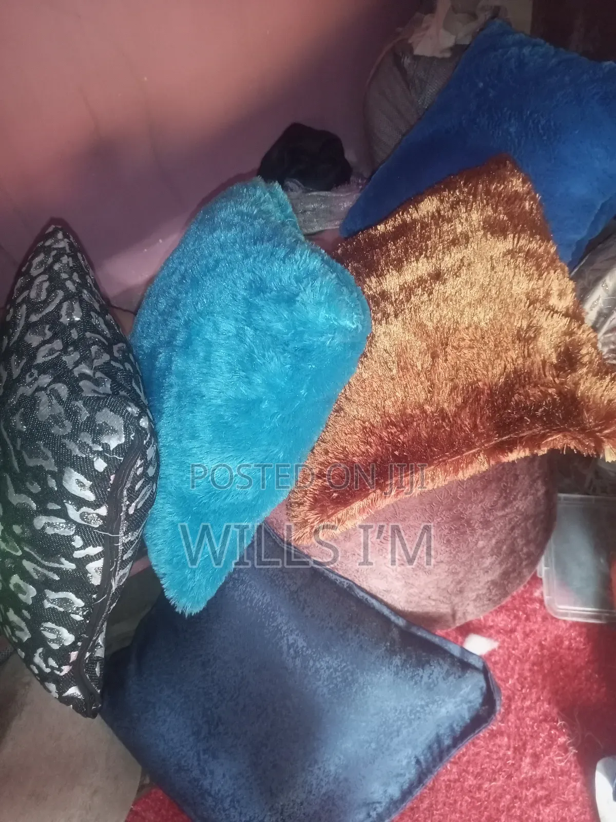 Throw Pillows
