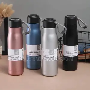 500ml Stainless Steel Travel Bottle