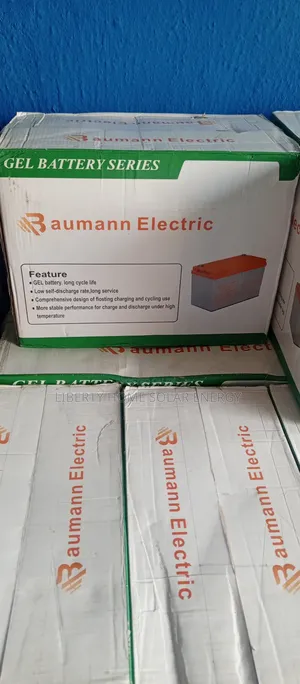100ah Baumann Dry Cell Battery