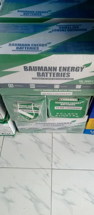 200ah Baumann Dry Cell Battery