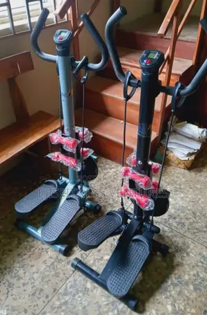 Standing Stepper With Twister