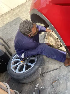 Professional Car Mechanic