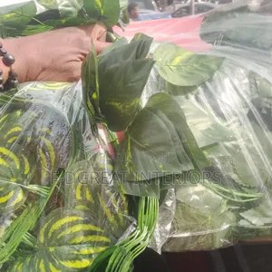 Turkish Dropping Flower