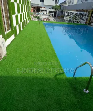Carpet Grass for Home Garden, School Playground