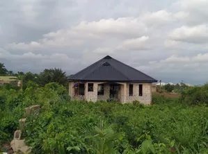 Longspan Roofing Sheets