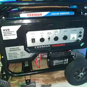 10kva Ceman Ce28000e2 Generator