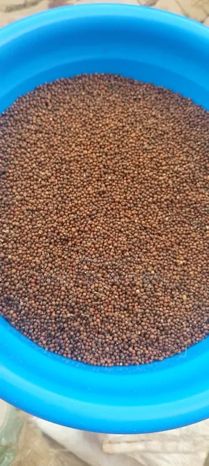 Vitex Seed 100g