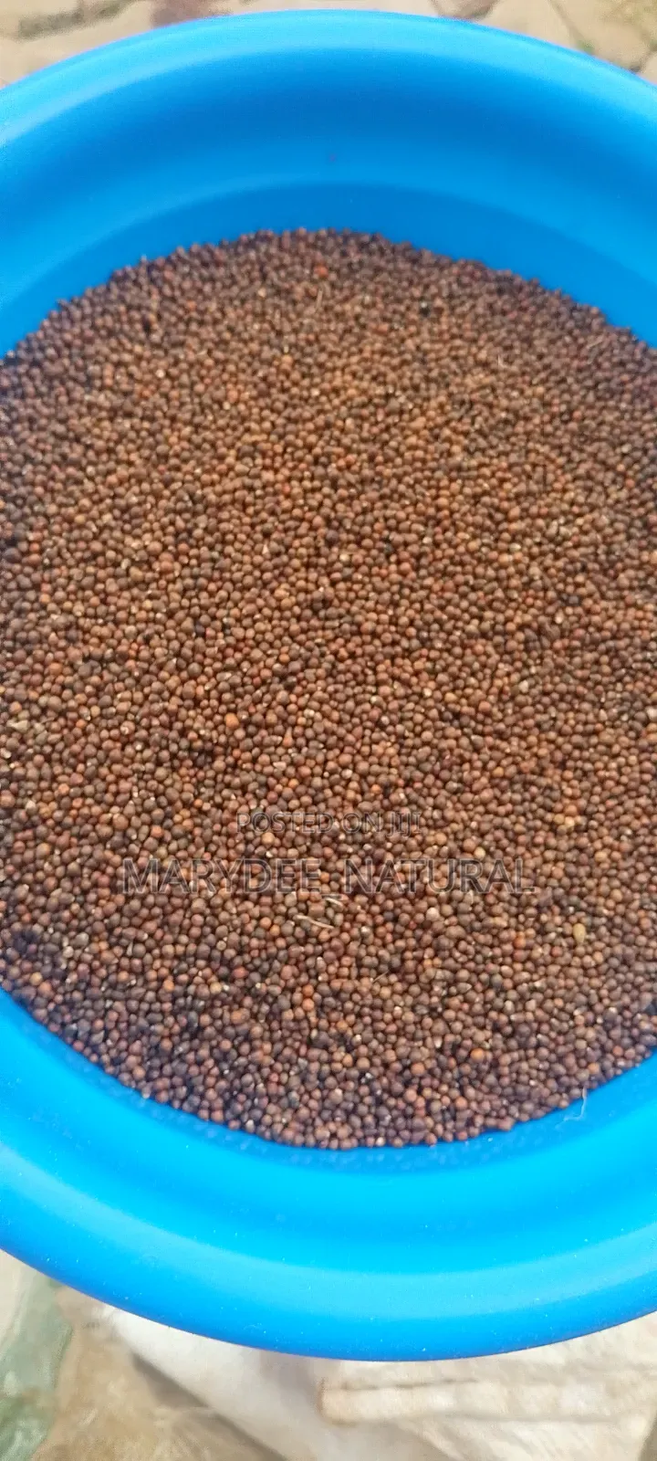 Vitex Seed 100g