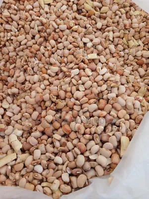 Honey Beans Grade 1 (Oloyin)Non Picked