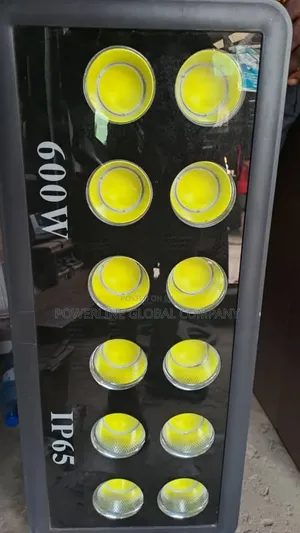 600w Electric Flood Light for Homes/ Hotels/ Companies