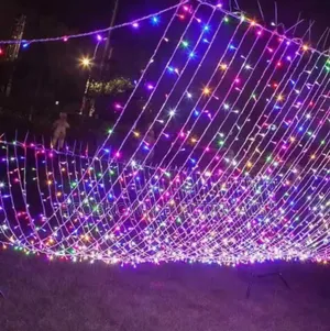 Christmas Lights,Rain Fall.Rgb, Worm White, White, Blue