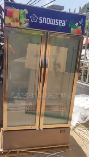 Snowsea Side by Side Showcase Chiller With Fast Cooling